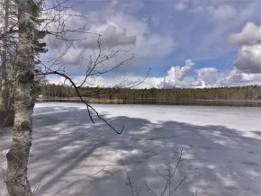 Lake Elamonjärvi