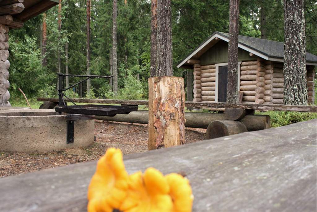 Sappee-Särkijärvi Trail | Laipanmaa